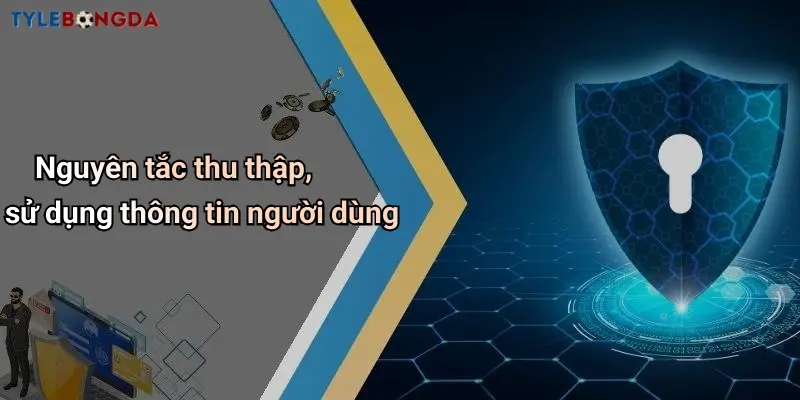 Nguyên tắc thu thập, sử dụng thông tin người dùng