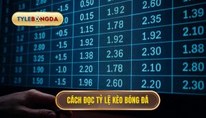 thumb - Cách đọc tỷ lệ kèo bóng đá