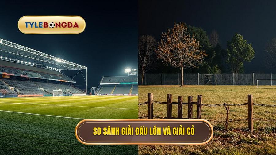 So sánh giải đấu lớn và giải cỏ
